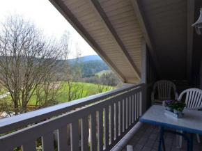 Гостиница Holiday Home in Waldkirchen with Sauna Balcony Garden  Вальдкирхен